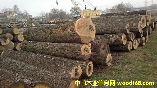 ǄPԴľI̓rˮԭľ_˹