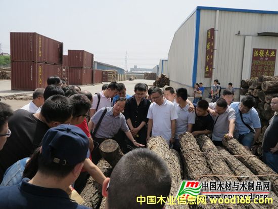 ȫľęz򞎟()IYӖϺek