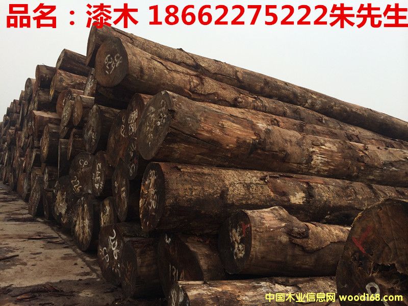漆木的詳細介紹