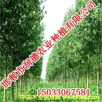 c鿴W108ŴDƬ