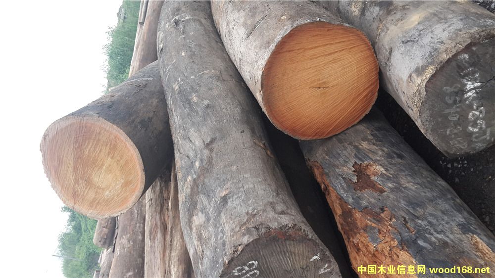 [] É|ľľ-¡ľ|ľڂ҉|ľ