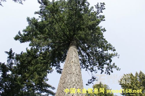 ~䏲ĮaСL1.7%