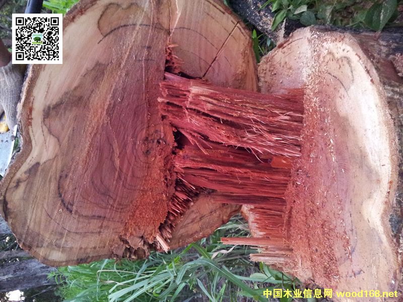 t֦20ѝqٱ10߀ϝq30