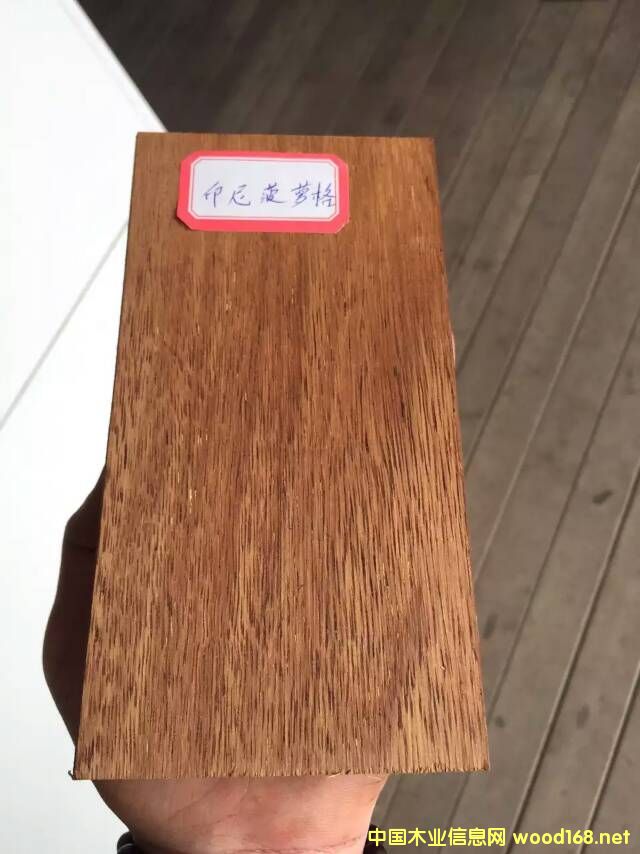 ӡᲤ} ӡľ
