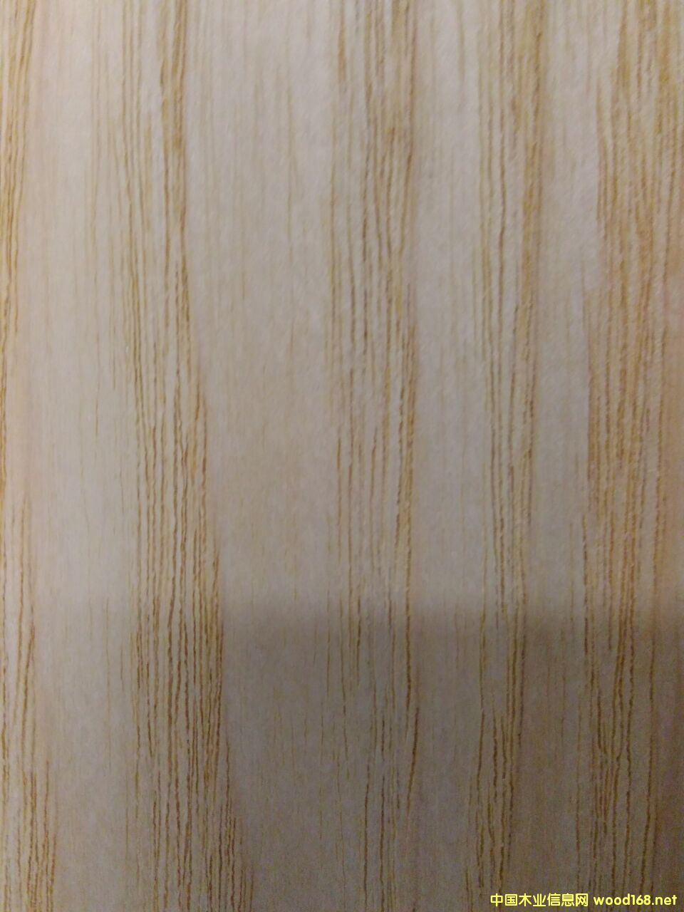 白蠟木的詳細介紹