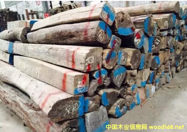 ľЈ^죺ֺS̴δ֮·ںη