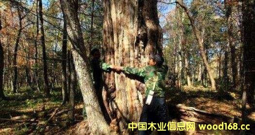 ľ2016ꌦЇL˰ٷ֮ʮ