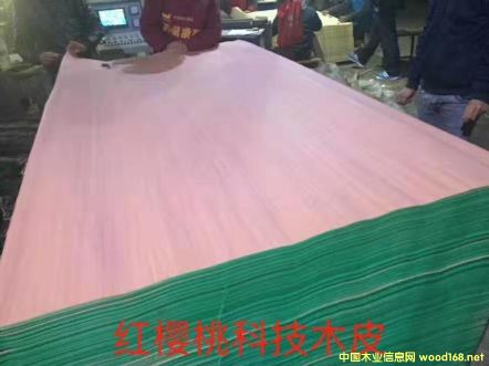 的詳細介紹