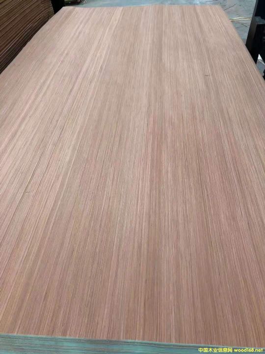 的詳細介紹