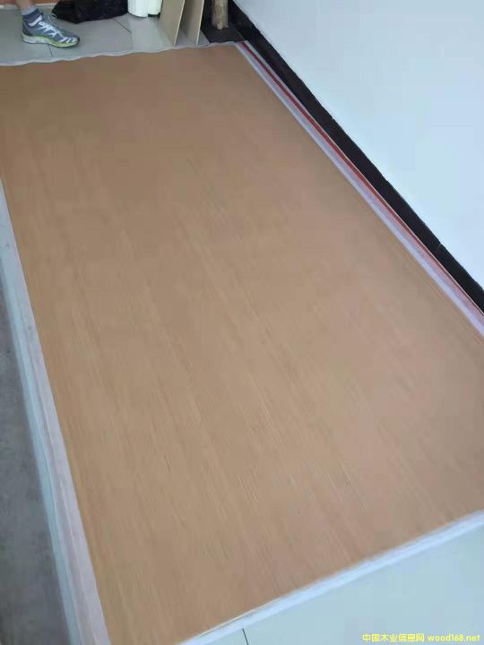 的詳細介紹