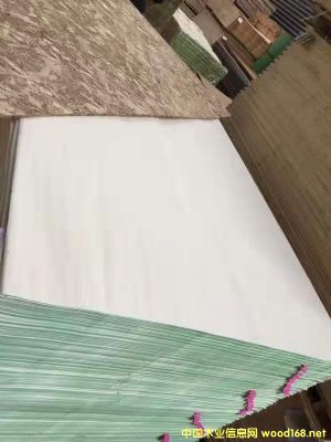的詳細介紹