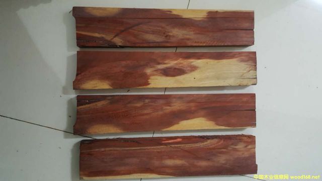 ̴ cam woodԔB