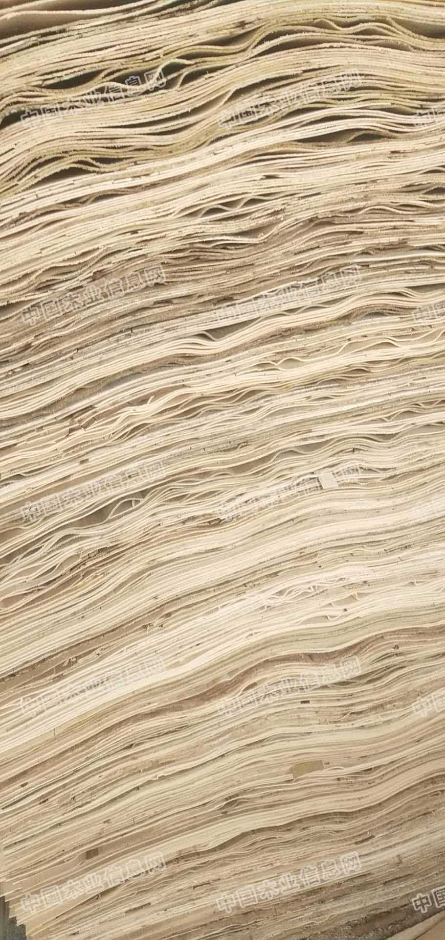 的詳細介紹