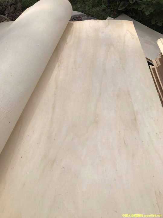 的詳細介紹