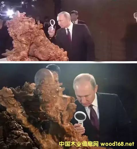 tľҾuҷ8