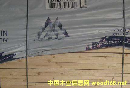 ЈW޲Mmɼ