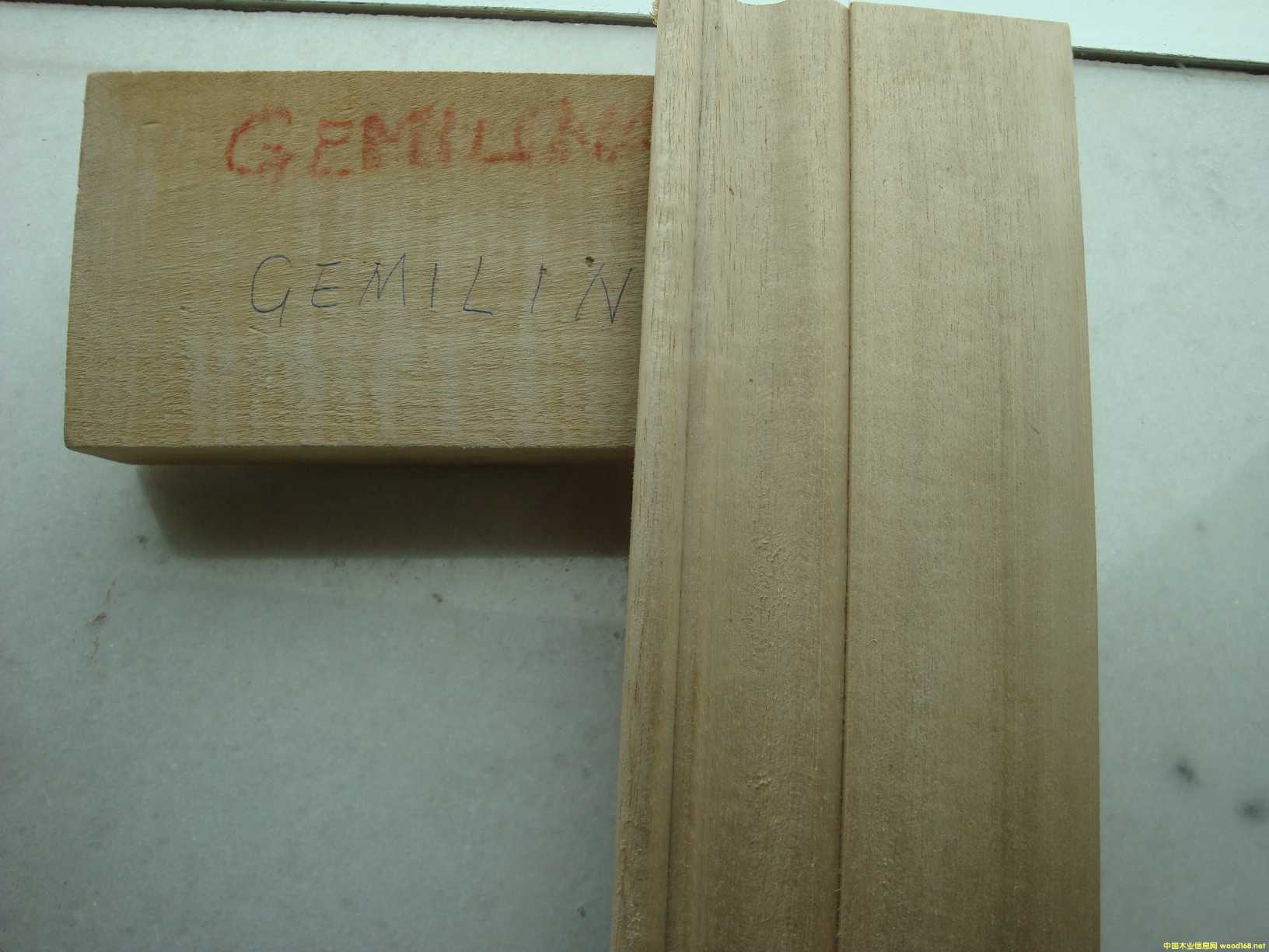 [] ľľeʯľGMELINA