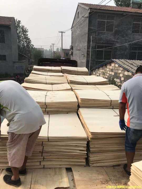 板的詳細介紹
