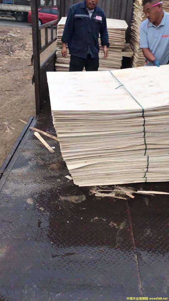 板的詳細介紹