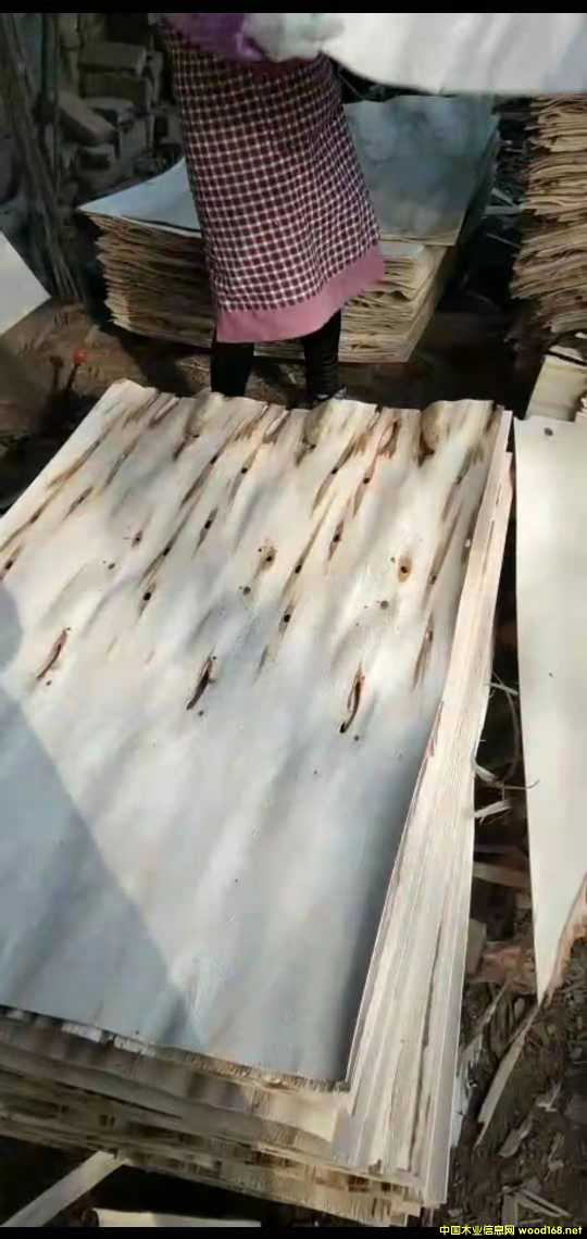 的詳細介紹
