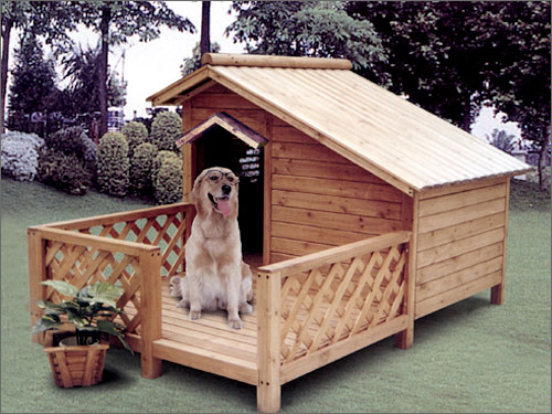 Ȯᣨ)_ DOG HOUSE WITH BALCԔB